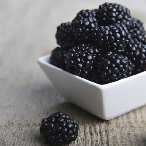 Blackberry - From Our Atlanta Vapor Classic Collection