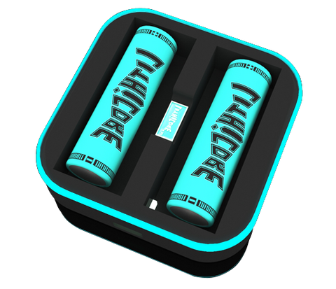 Pulse 2-Bay Charger - By Lithicore 